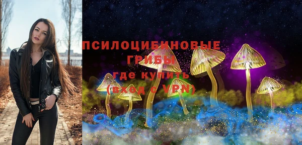 герыч Кулебаки
