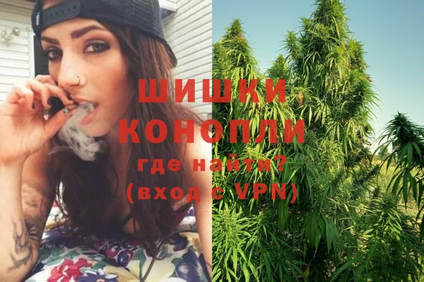 apvp Кукмор