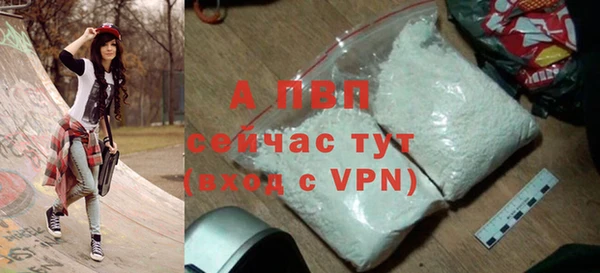apvp Кукмор