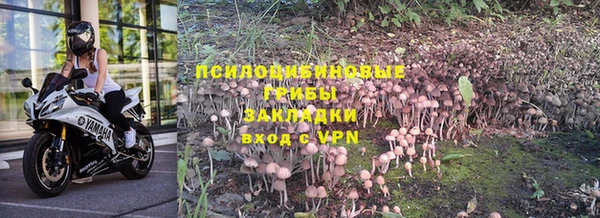 apvp Кукмор