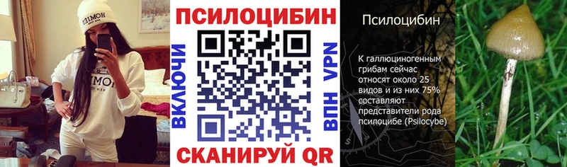 Купить закладки  Зерноград  Галлюциногенные грибы мухоморы 