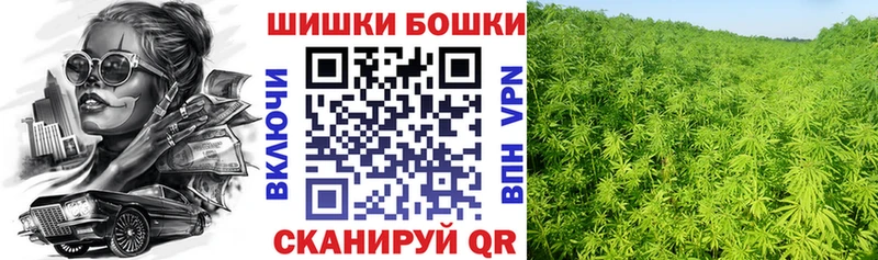 Бошки Шишки Amnesia  Купить где  Зерноград 